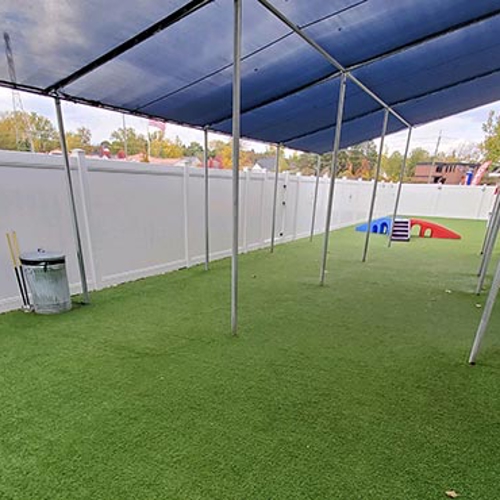 The outdoor play area of All American Pet Resorts Shelby Township